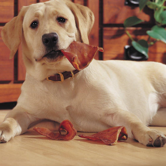 EcoKind USA Pig Ears Dog Treats